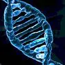 psikologi: Adakah kita hamba gen kita?