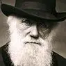 Darwini mõju psühholoogiale, 5 punkti - psühholoogia