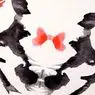 psykologi: Rorschach inkblot testen