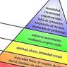 psykologi: Maslows pyramide: hierarkiet af menneskelige behov